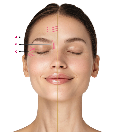 Cicatricure-Neuro-Zen-Image-Face-Infographics